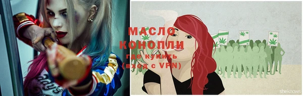 ешки Новодвинск