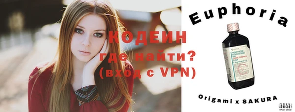ешки Новодвинск