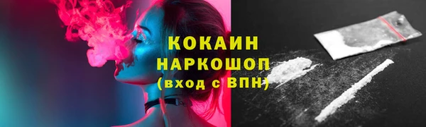 ешки Новодвинск