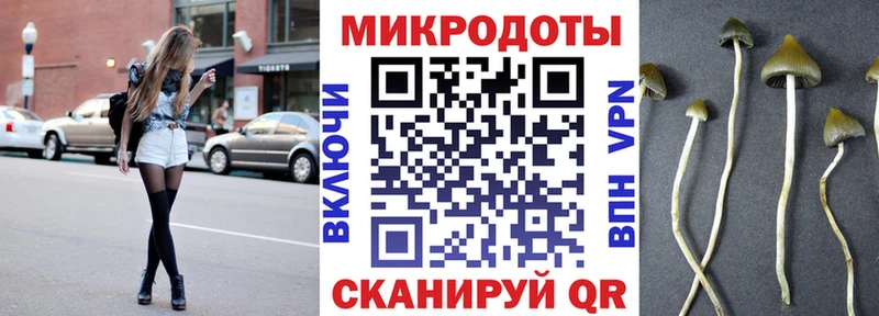 Псилоцибиновые грибы прущие грибы  Сусуман 